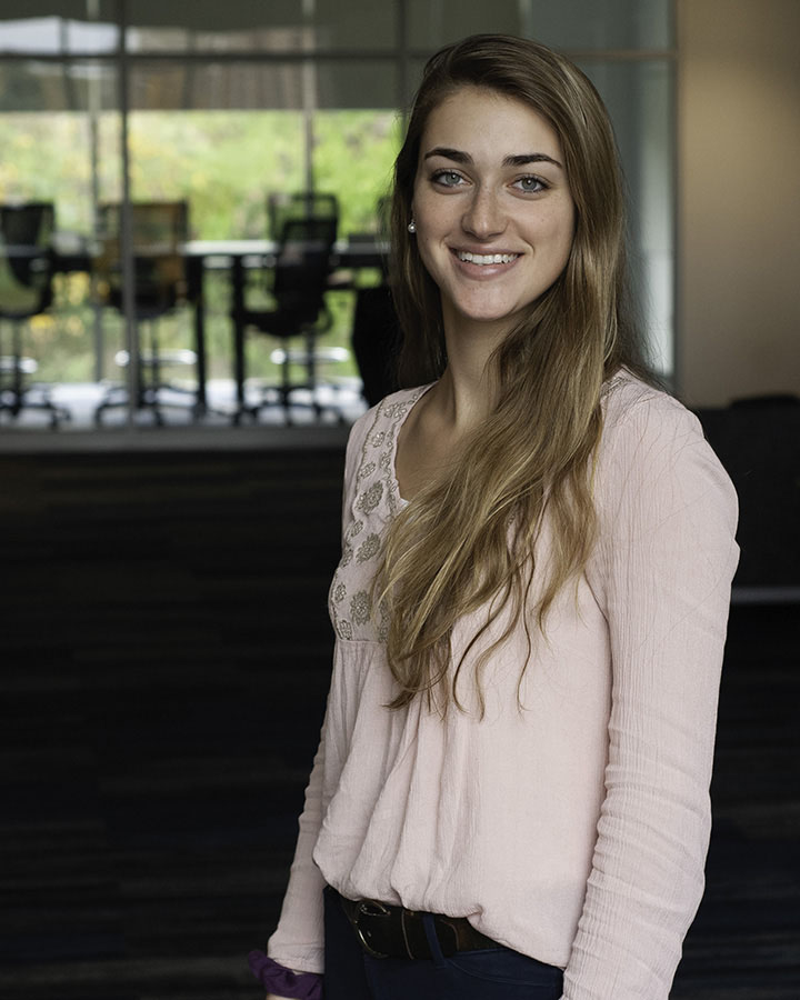 Research proposal simba 07 picture